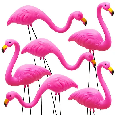 Set Of 6 Small Pink Flamingo Yard Ornament Mini Plastic Flamingo Statue • $20.99