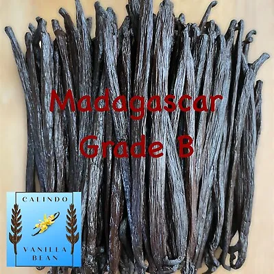 2oz Fresh Madagascar Vanilla Beans For Extract Grade B - 6  Vanilla Extract • $20.75