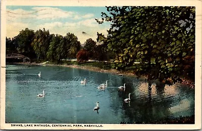 Nashville Tennessee TN Centennial Park Lake Watauga Swans Bridge 1910s Postcard • $4.99