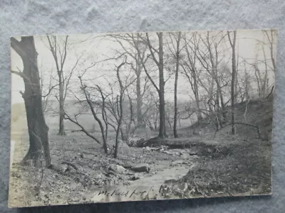 Antique Edge Of The Woods McKeesport Pennsylvania Real Photo Postcard 1907 • $6.35