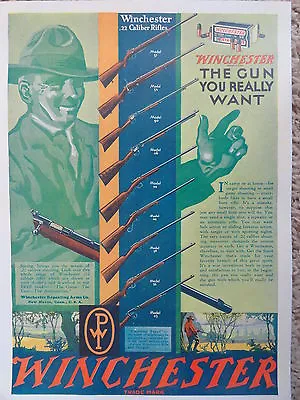 Winchester Firearms Advertising Poster 1920's Features 9 Vintage WIn .22 Rifles  • $7.50