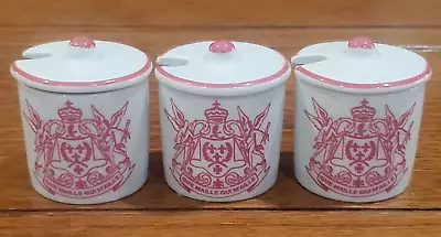 3 - Vtg French Mustard Mini Pots Jars & Lids - Dijon Maille 1747 France 2  NEW • $19.99