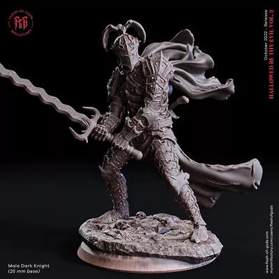 Dark Knight Fighter Miniature 28mm 32mm Dungeon Dragons D&D RPG • $11.99