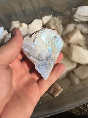 1lb Bulk Wholesale Rough Natural Rainbow Blue Moonstone Crystals • $21