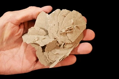 $9.99 • Buy DESERT SELENITE Sand Rose 4 1/2  7 Oz Rock Mineral Specimen Healing Crystal