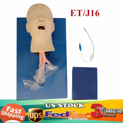 $195 • Buy Manikin Teaching Study Child Intubation Model Airway Management Trainer & Tube