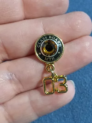 Vintage Lapel Pin (A65) Class Board MTH 03 • $6.54