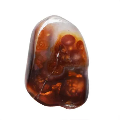 Natural Mexican Fire Agate Gemstone 16 Cts Loose Fancy Rough From Mexico • $60.79