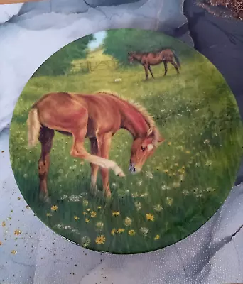 'Finding Her Feet'  Royal Worcester Horse Porcelain Plate 'Tomorrow's Champion' • £2.50