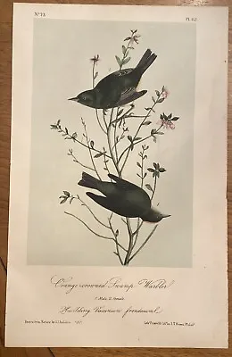 J. J.Audubon ORANGE-CROWNED SWAMP -WARBLER Lith. By J.T. Bowen 1839 • $75