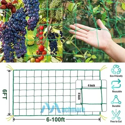 Heavy-Duty Growing Net Garden Trellis Netting For Vine Plants Fruits Flowers Veg • $12.61