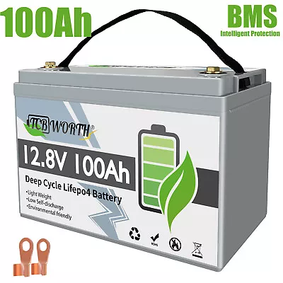 12V 100Ah LiFePO4 Lithium Battery BMS For Solar RV Off-grid Trolling Motor Boat • $178.50