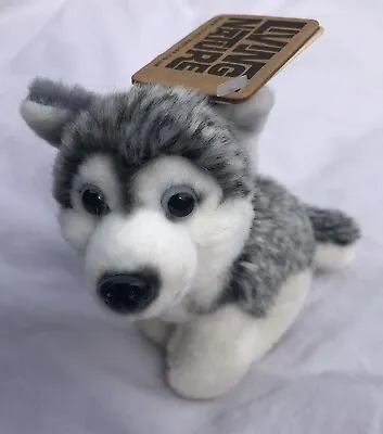 £6.99 • Buy Living Nature Miniature Huskey - An366 Soft Cuddly Plush Fluffy Teddy Dog
