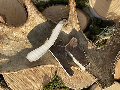 £9.39 • Buy Split Wild Elk Antler Dog Chews Small Medium Large XL...100% Natural - Calcium