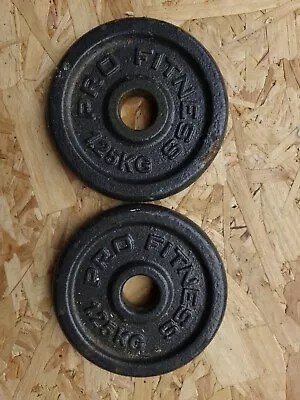 Pro Fitness 1.25kg 1 Inch Dumbell Weight Plates Cast Iron Gym Fitness • £5