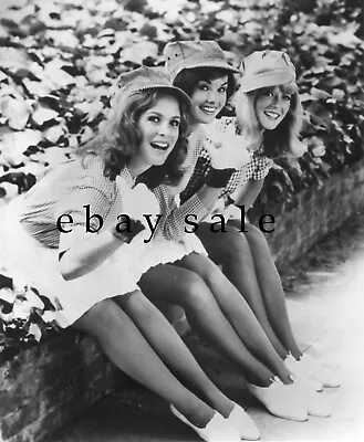 Sexy LORI SAUNDERS Photo PETTICOAT JUNCTION GIRLS Henning LEGGY Meredith MacRae • $29.95