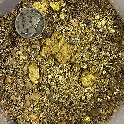 Approximately 20-35lbs US Gold Nugget Pay Dirt  Free Shipping Paydirt • $119.99