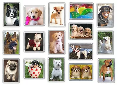 Dog Fridge Magnets Pug Staffy Beagle Chihuahua Shih Tzu Jack Russell Choose • £3.50