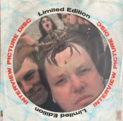 The Pixies- Interview Picture Disc Vinyl Album • £23.49