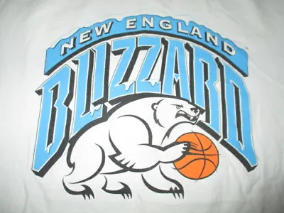 JENNIFER RIZZOTTI Signed NEW ENGLAND BLIZZARD (XL) T-Shirt Jersey UCONN Huskies • $50