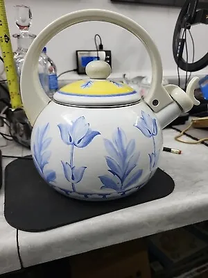 Villeroy & Boch Enamel Tea Kettle • $15