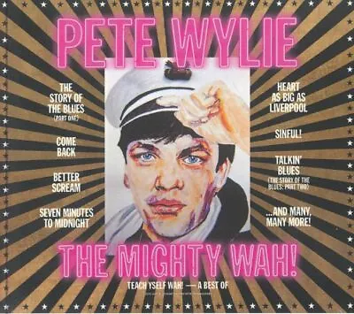 Teach Yself Wah!: A Best Of Pete Wylie & The Mighty Wah! • £16.10