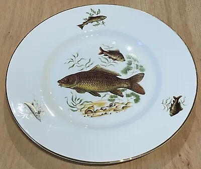 Pall Mall Ware English Bone China Common Carp Fish Dinner Plate Vintage • £12