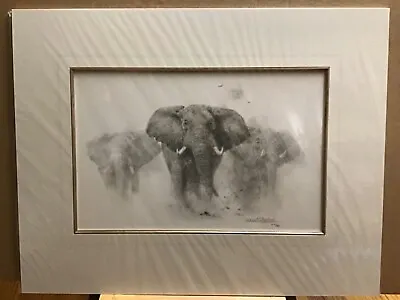 David Shepherd Limited Edition ELEPHANTS PENCIL DRAWING 2002.  No. 44/950 • £75