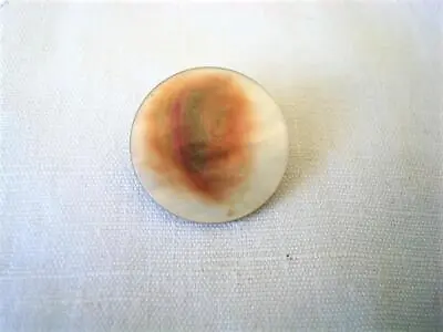 Vintage Mother Of Pearl Shell Pin Brooch White With Iridescent Brown 7/8 In. • $9