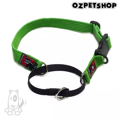 BlackDog - Black Dog Wear Dog Training Collar - 7 Colours - Martingale Collar • $24.95