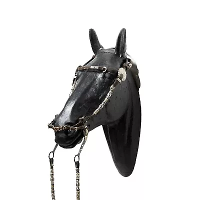 Kelly Silver And Leather Western Bridle • $500