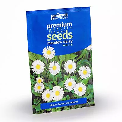 Daisy Meadow White Flower Seeds (Approx. 370 Seeds) By Jamieson Brothers • £2.79