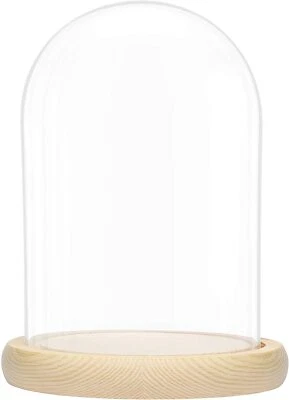 £10.90 • Buy Decorative Glass Dome With Wooden Base Cloche Bell Jar DIY Display Stand Decor