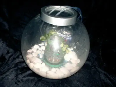 Baby Biorb 15L. Aquarium (Pick Up Only/Local Delivery)SA14 7DS Crosshands  • £15