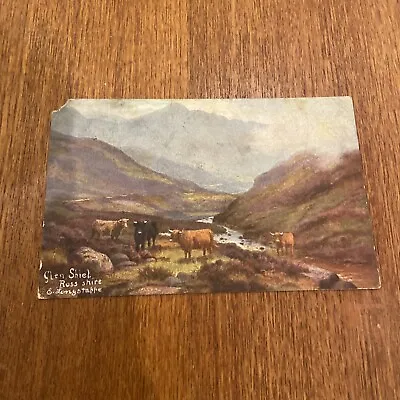 £1.50 • Buy Vintage Postcard Glen Shiel Ross-Shire Longstaffe