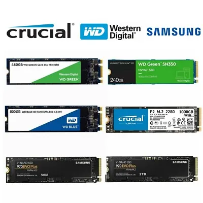 $59.95 • Buy SSD M.2 NVMe 240G 500G 1TB WD Green Blue Samsung 970 Evo Plus Solid State Drive