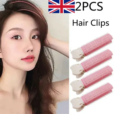 2Pcs Volumizing Hair Root Clips Hair Clips Curler Rollers Natural Clamps Rollers • £3.53
