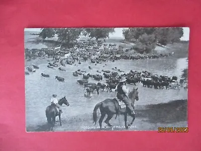 £0.50 • Buy Fording Milk-River Malta-MONTANA-1920s Postcard