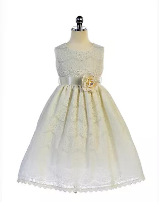 Gorgeous Ivory Lace Pageant Flower Girl Party Dress Crayon Kids USA • $54.99