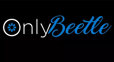 Only Beetle Sticker Decal Only Fans Theme For Vw Volkswagen Beetle Accessories • $12.99