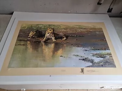 David Shepherd Pencil Signed Limited Edition Print Cool Waters ' Leopards • £125