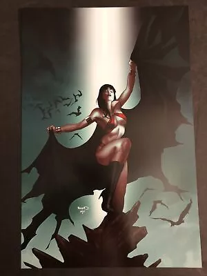 Vampirella Mothers Sons And A Holy Ghost #29 COVER Dynamite Comics Poster 8x12 • $14.99