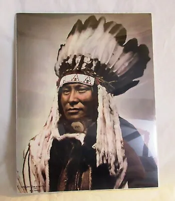 L.a Huffman 11 X 14 Chief Rain In The Face Photograph Coffrins Old West Gallery • $49.95