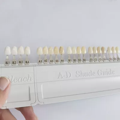 Lvoclar Vivadent Dental Teeth Shade Guides A-D 20 Colors Porcelain Tooth IPS Die • $38.62