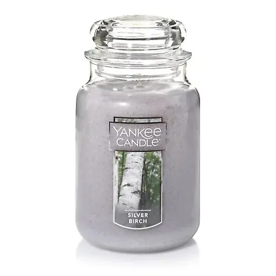 $18.99 • Buy Yankee Candle Silver Birch - Original Large Jar Scented Candle