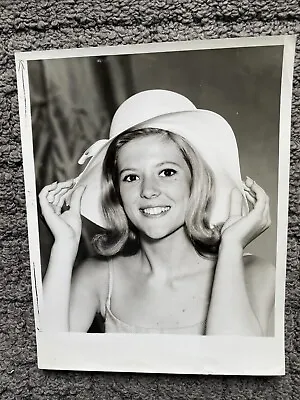 Pretty Meredith MacRae MY THREE SONS 1960s ABC TV 7x9 • $24.99