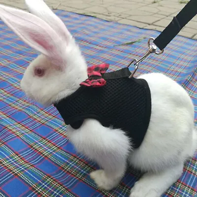 Black/Red Adjustable Soft Harness With Elastic Leash Vest For Rabbit Bunny US • $4.85