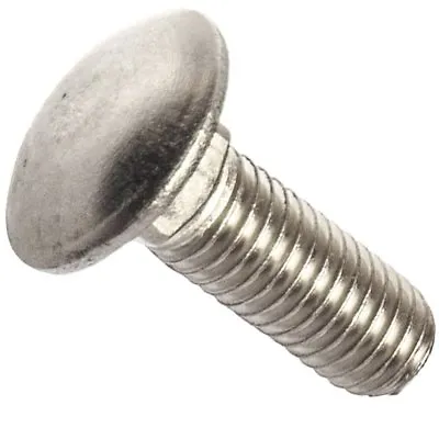 5/16-18 X 5/8  Carriage Bolts Stainless Steel 18-8 Round Head Qty 25 • $15.01