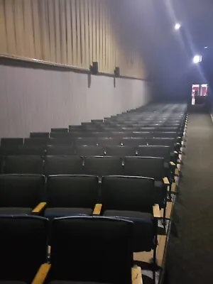 Movie Theater Seats--DISCOUNTED TO $20---MUST GO!! • $20