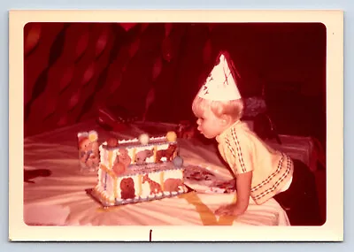 2 Vintage Photographs Birthday Parties W/ Elaborate Cakes Zoo & Cat Kitten Theme • $5.99